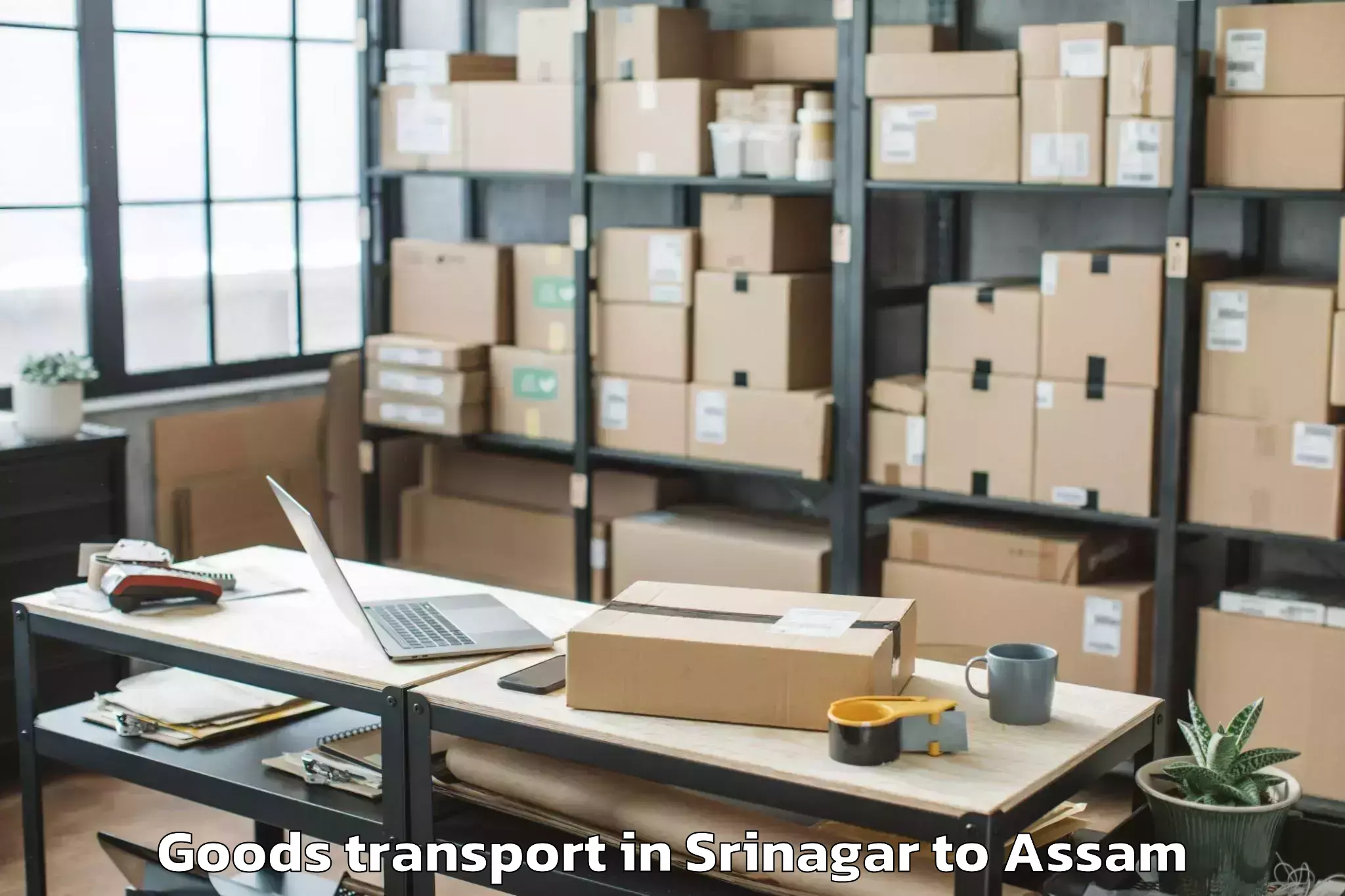 Easy Srinagar to Chapar Pt Goods Transport Booking